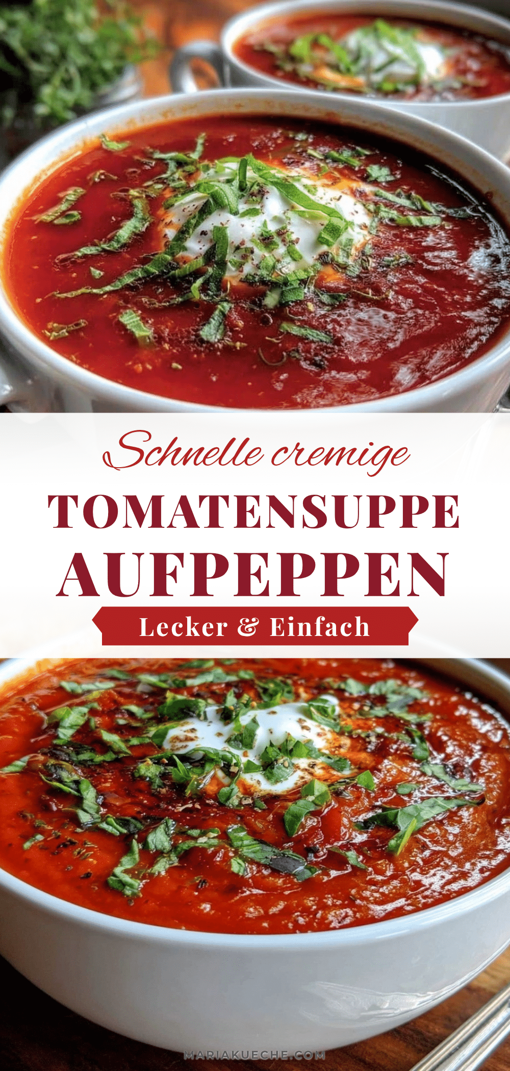 cremige tomatensuppe aus der dose recipe