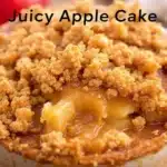 Saftiger Apfelkuchen mit Zimtstreuseln - featured image